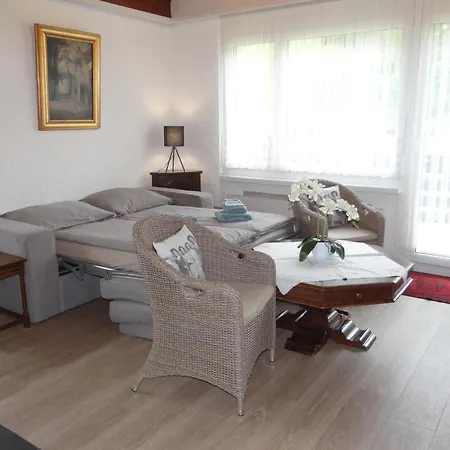 Birkenstrasse 56 By Interhome Appartement *