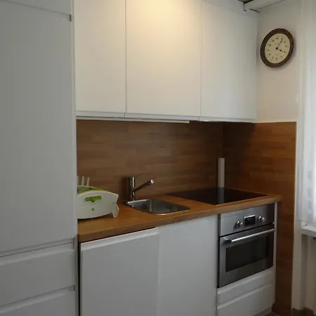 Apartment Birkenstrasse 56 *
