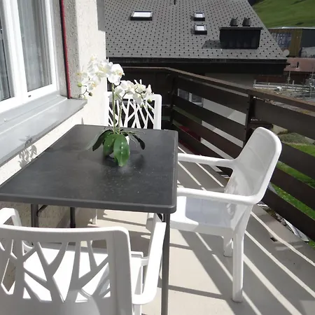 Birkenstrasse 56 Appartement-fewo 4-bettwohnung By Interhome Apartment