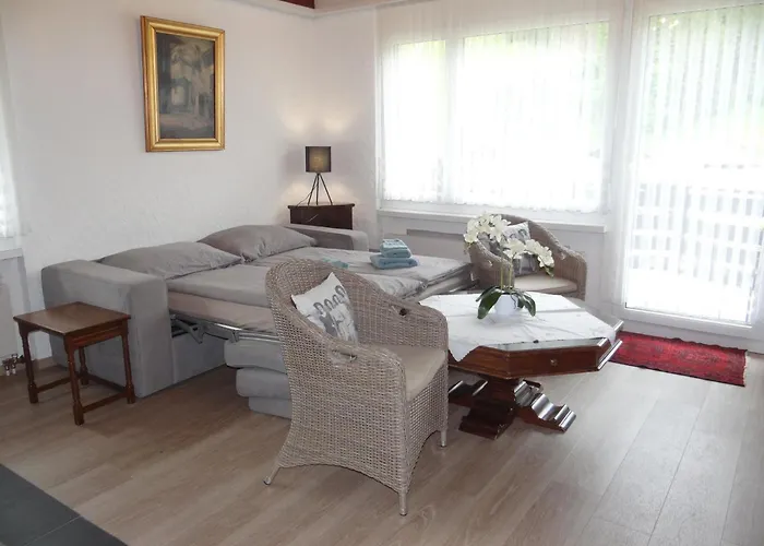 Birkenstrasse 56 By Interhome Apartment *