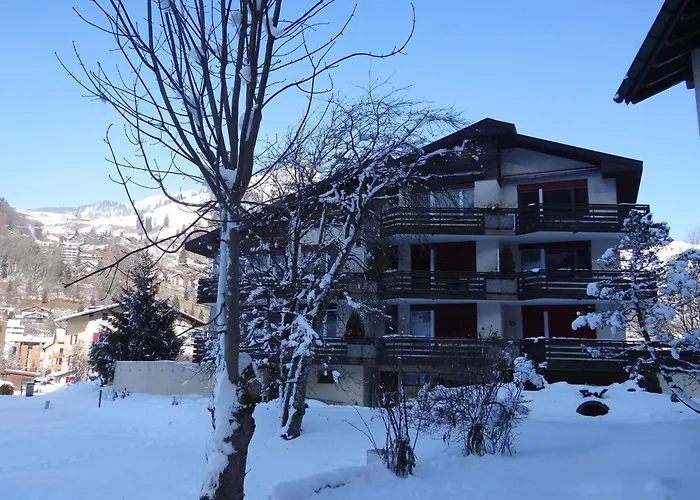 Apartment Birkenstrasse 56 By Interhome